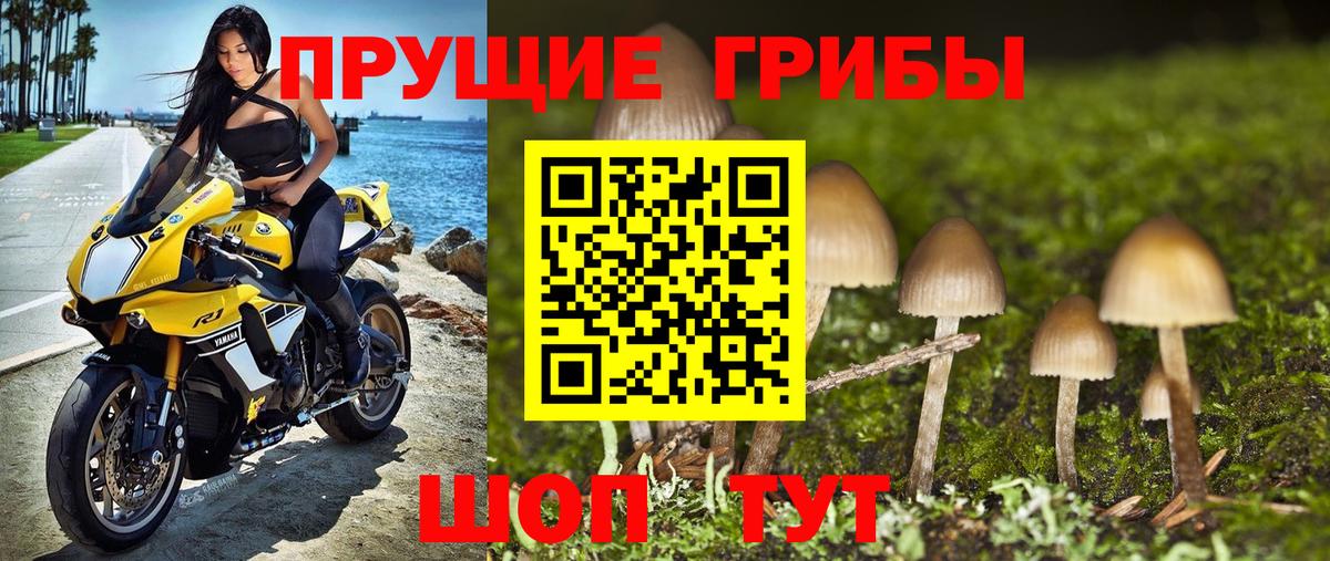 Благодарный  Псилоцибиновые грибы Psilocybine cubensis  Вход с VPN  Псилоцибиновые грибы Magic Shrooms 