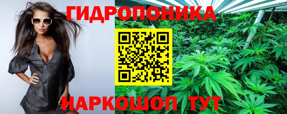 Конопля Ganja Благодарный